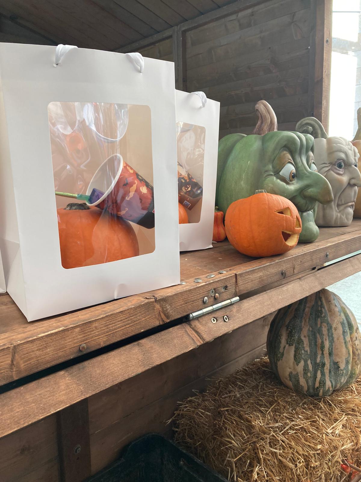 LaboratorioDelleZucche (23)