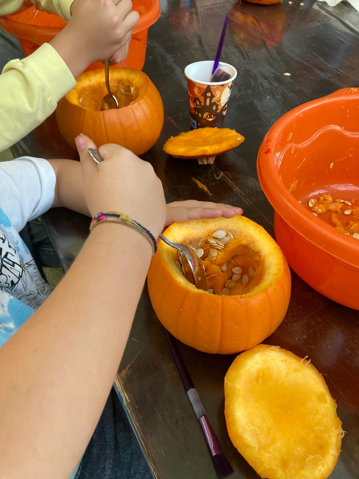 LaboratorioDelleZucche (25)