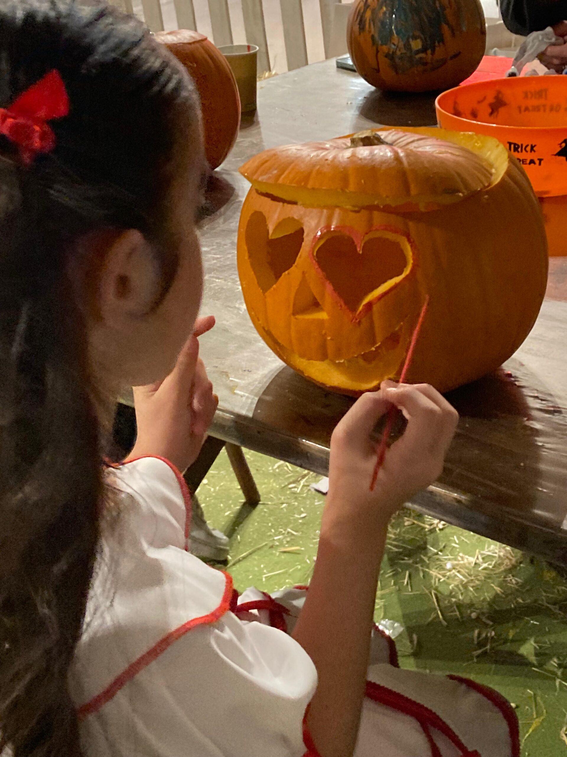 WhatsApp Image 2025-11-01 at 19.21.46(3)