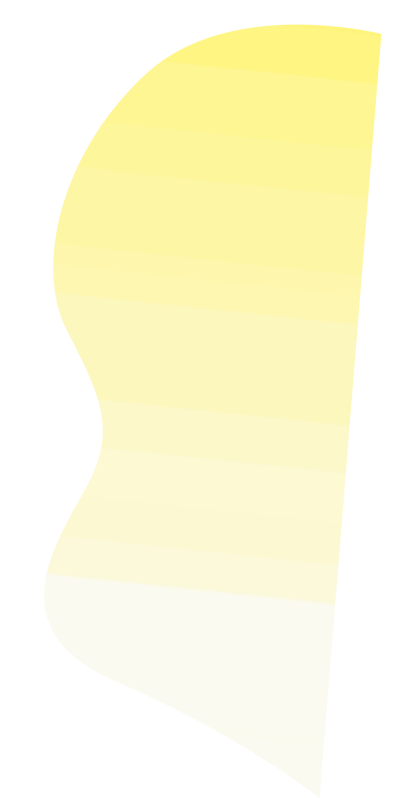 FORMA GIALLA